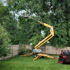 Best Mulching Services  in Empire, CA