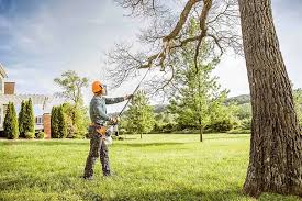 Best Hedge Trimming  in Empire, CA