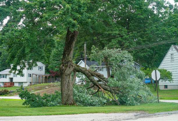 Best Utility Line Clearance  in Empire, CA